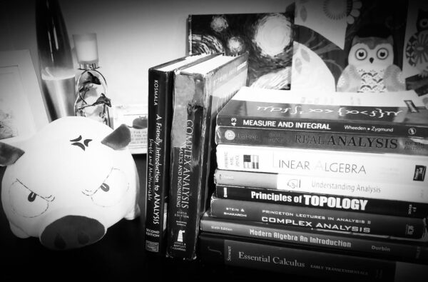 Picture of a bookshelf with books stacked up and an angry pig plushie beside it, in black and white